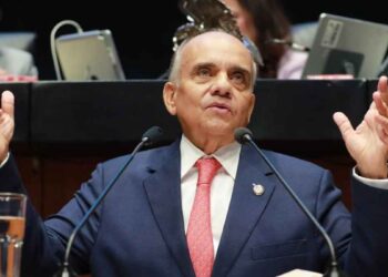 Manuel Añorve Morena empleos