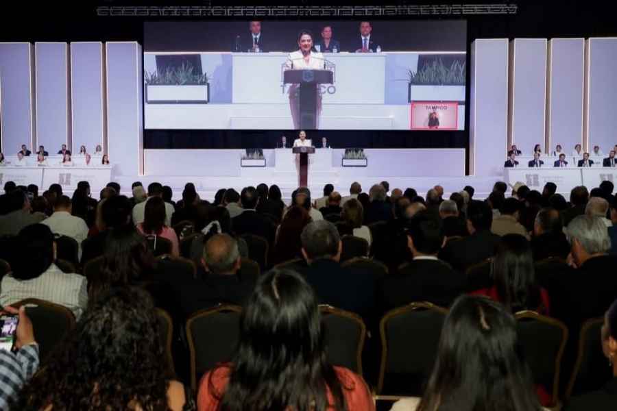 Monica Villarreal segunda comparecencia