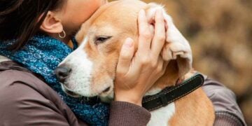 Morena muerte de mascota