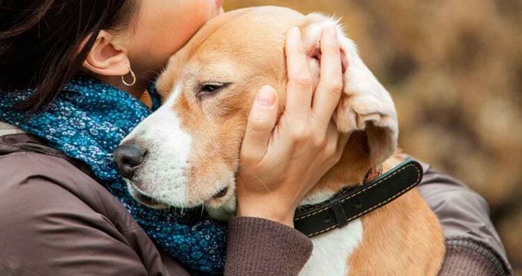 Morena muerte de mascota