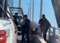 Puente Tampico Joven
