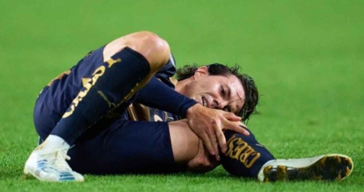 Pumas alineación
