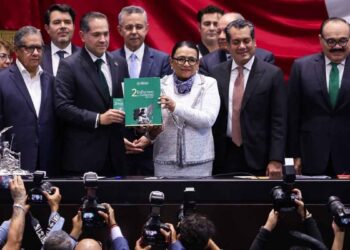 Rosa Icela Informe Congreso