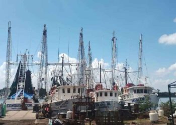 Salen 90 camaroneros de Tampico