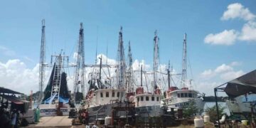 Salen 90 camaroneros de Tampico