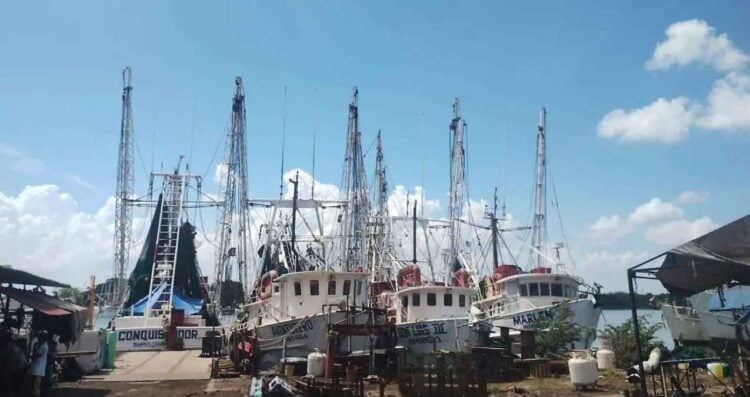 Salen 90 camaroneros de Tampico