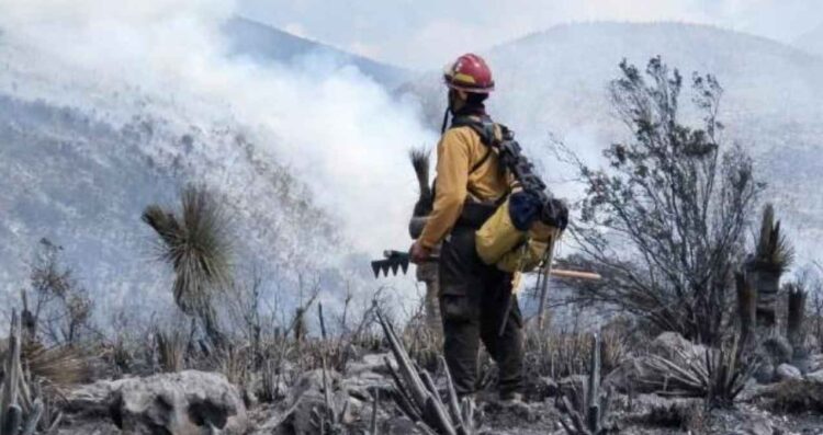 Septiembre incendios forestales Tamaulipas