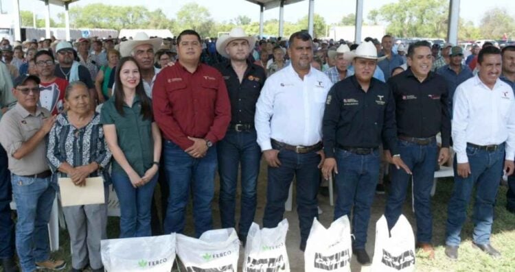 Tamaulipas citrícolas región centro