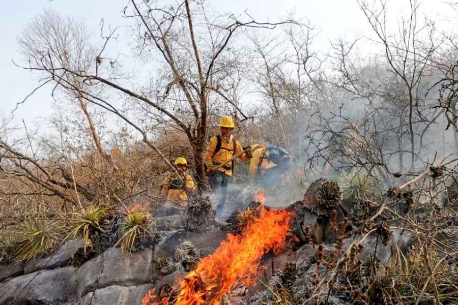 Tamaulipas incendios forestales pastizal