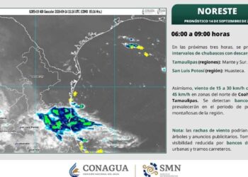 Tamaulipas temperaturas 38 grados hoy