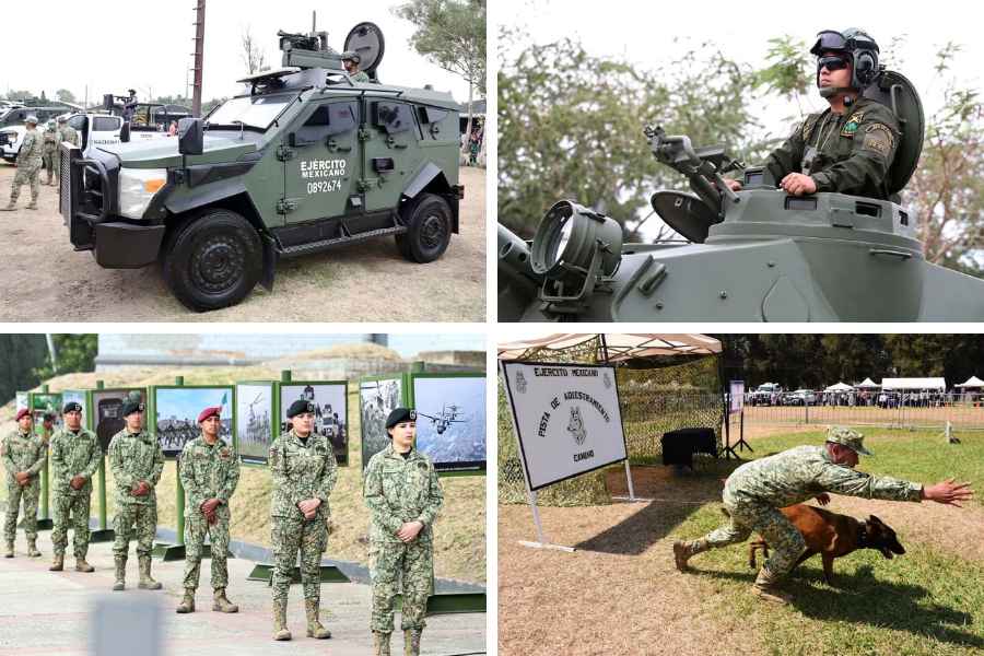 Tampico actividades culturales y turísticas (1)