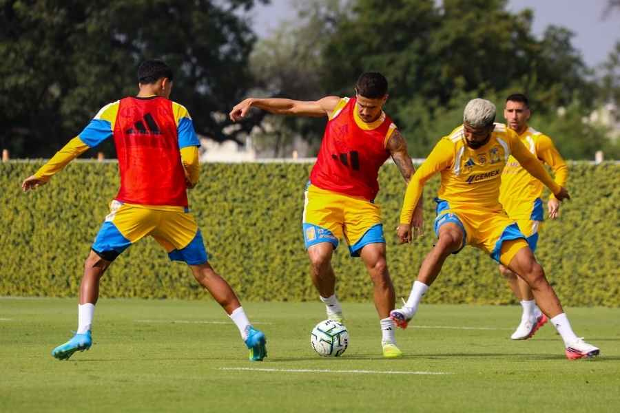 Tigres Vucetich cambios