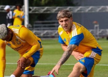 Tigres Vucetich cambios