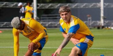 Tigres Vucetich cambios