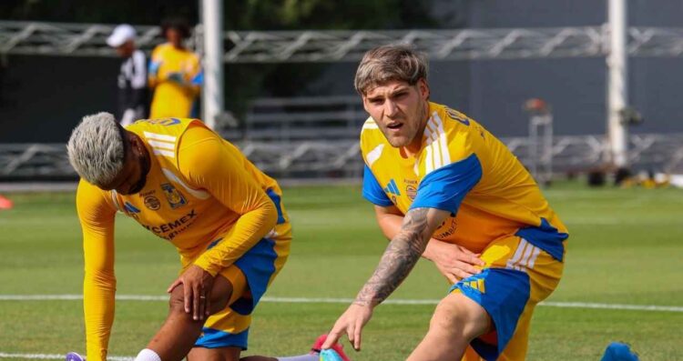 Tigres Vucetich cambios