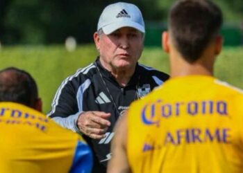 Tigres Vucetich mover piezas