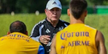Tigres Vucetich mover piezas