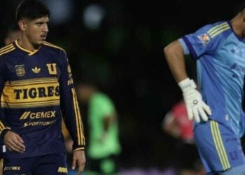 Tigres polémica