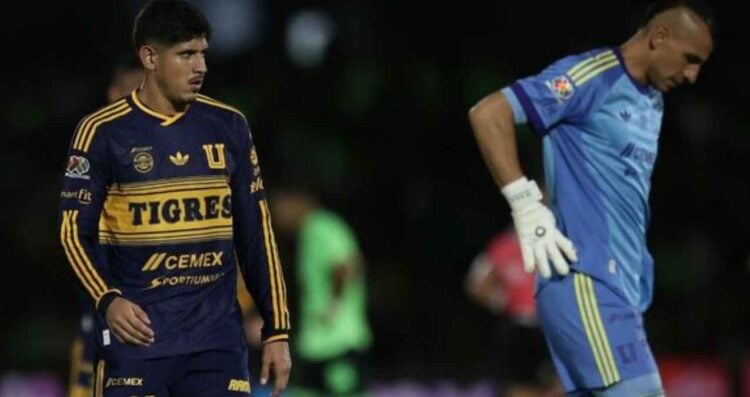 Tigres polémica
