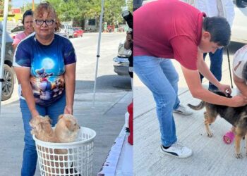 Vacunación antirrábica en Nuevo Laredo