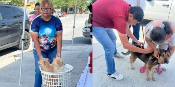 Vacunación antirrábica en Nuevo Laredo