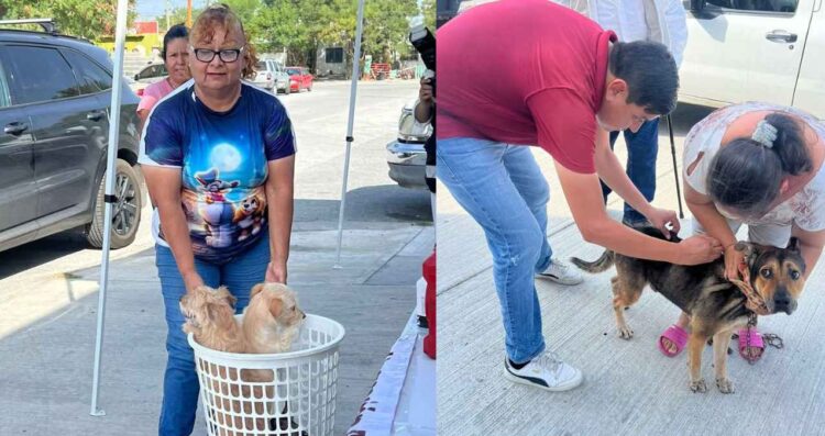 Vacunación antirrábica en Nuevo Laredo