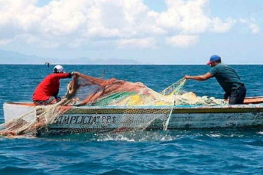 altas temperaturas pesca Matamoros