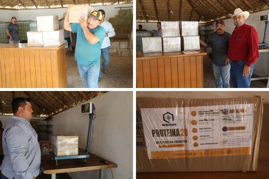 apicultores Tamaulipas