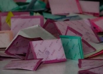 boletas sin doblez Ine