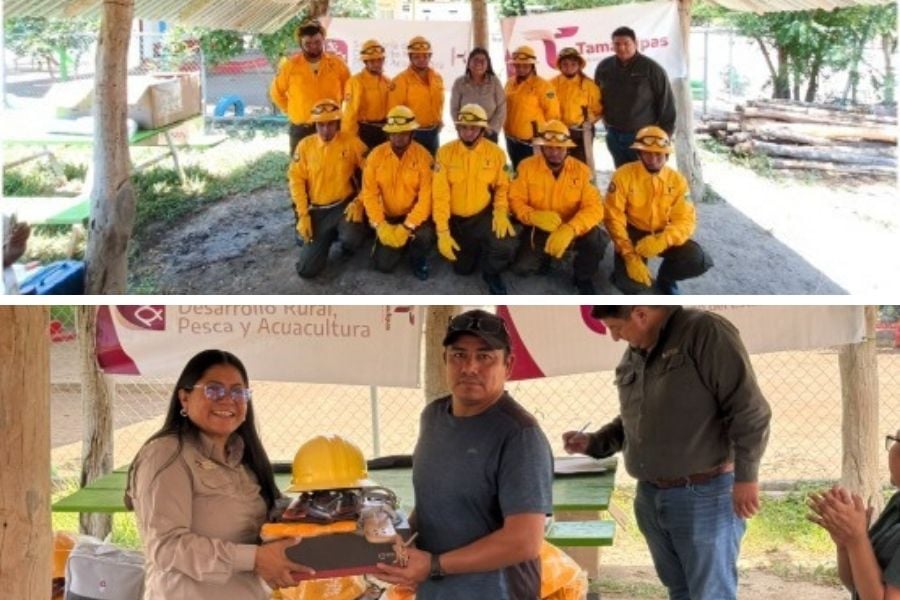 brigada contra incendios forestales en Llera