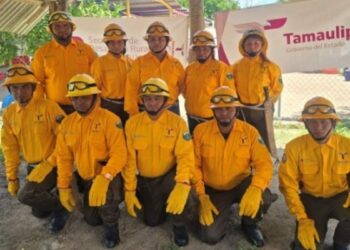 brigada contra incendios forestales en Llera