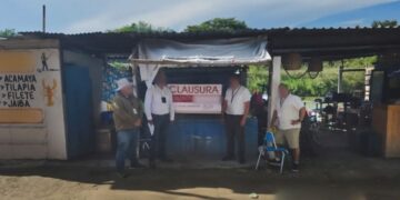 carne de cocodrilo en Tampico