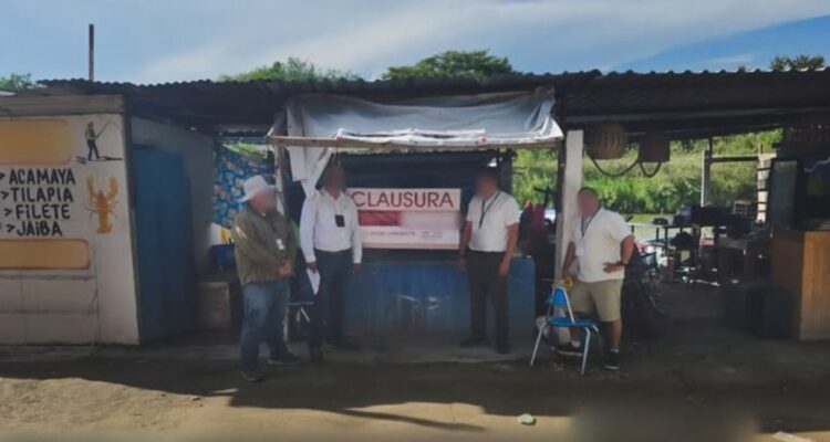 carne de cocodrilo en Tampico