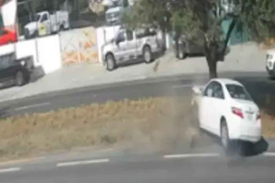 conductora arbol Montemorelos Nacional