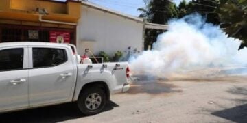 disminución de casos de dengue Tamaulipas