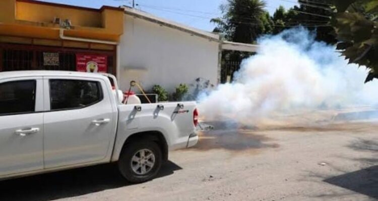 disminución de casos de dengue Tamaulipas