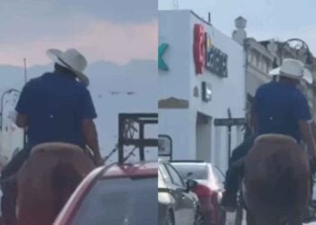 _ebrio caballo en Montemorelos