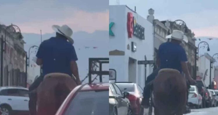 _ebrio caballo en Montemorelos