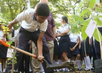 estudiantes jornada reforestación Victoria