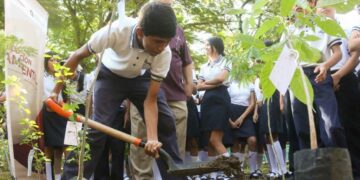 estudiantes jornada reforestación Victoria
