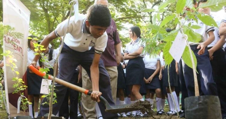 estudiantes jornada reforestación Victoria