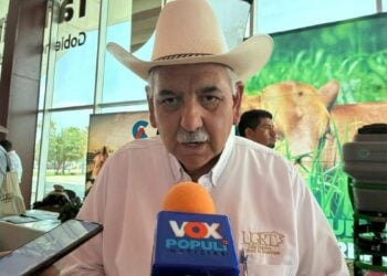 exportación de ganado a Estados Unidos
