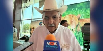 exportación de ganado a Estados Unidos