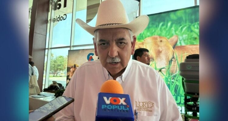 exportación de ganado a Estados Unidos