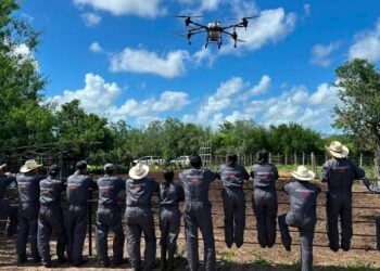gusano barrenador del ganado en Tamaulipas
