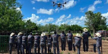 gusano barrenador del ganado en Tamaulipas