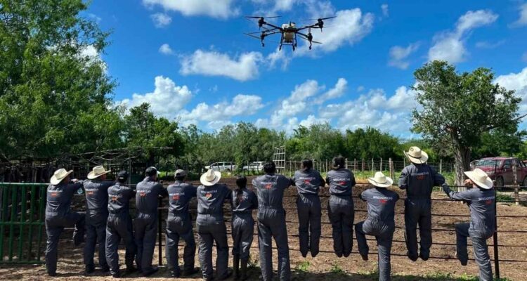 gusano barrenador del ganado en Tamaulipas