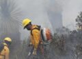 incendio forestal Sierra de Tamaulipas