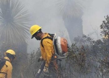 incendio forestal Sierra de Tamaulipas