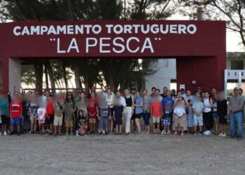 liberación de tortugas en Soto la Marina